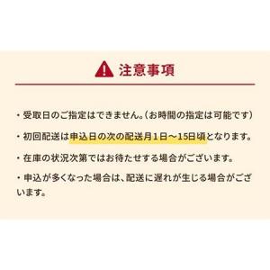 ふるさと納税 【12回定期便】練ト麺 (ねりと...の詳細画像4