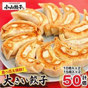 ふるさと納税 冷凍餃子専門店 小山餃子 大きい餃...の商品画像