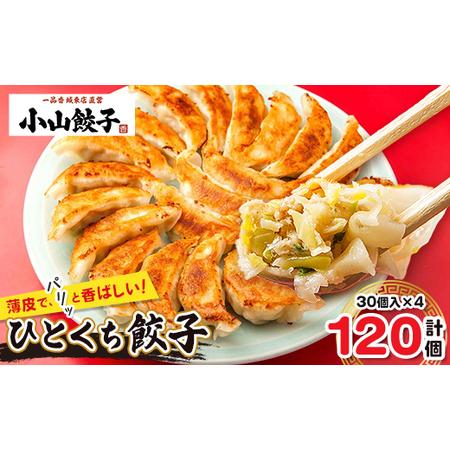 ふるさと納税 冷凍餃子専門店 小山餃子 ひとくち餃子 120個【配送不可地域:離島】【1259753...