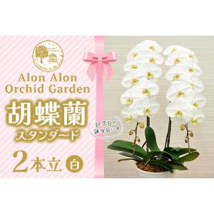 ふるさと納税 NPO法人Alon Alon　胡蝶蘭（スタンダード）２本立 千葉県富津市