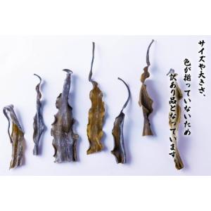 ふるさと納税 訳あり 北海道産 日高昆布 根昆...の詳細画像1