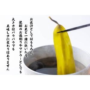 ふるさと納税 訳あり 北海道産 日高昆布 根昆...の詳細画像2
