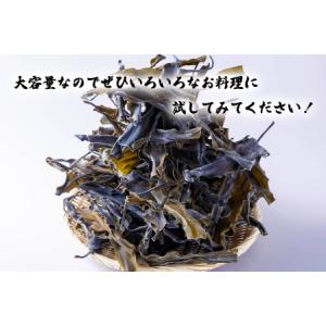 ふるさと納税 訳あり 北海道産 日高昆布 根昆...の詳細画像3