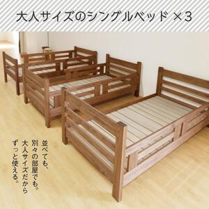 ふるさと納税 <4月中旬発送予定>安心安全の日...の詳細画像2