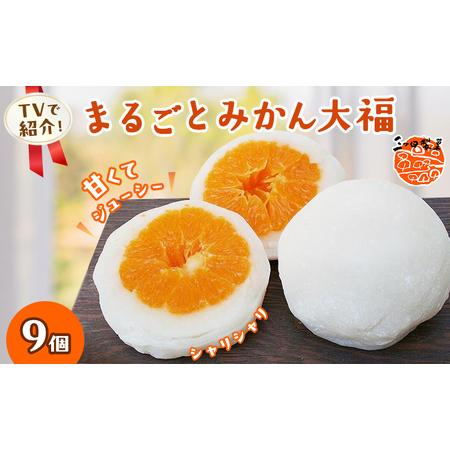 ふるさと納税 大福 まるごと みかん大福 詰め合わせ セット 三ヶ日みかん みかん フルーツ大福 和...