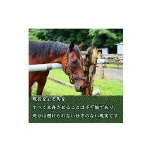 ふるさと納税 競走馬 支援 50万円 コース ...の詳細画像1