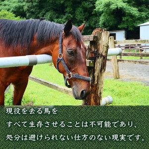 ふるさと納税 【 支援 】 支援引退馬 100...の詳細画像1
