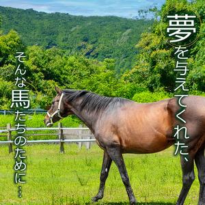ふるさと納税 【 支援 】 支援引退馬 100...の詳細画像2