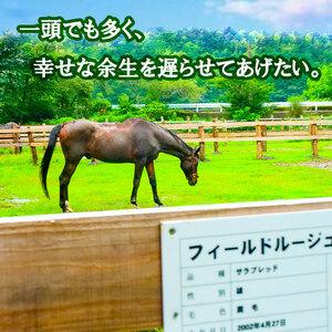 ふるさと納税 【 支援 】 支援引退馬 100...の詳細画像3