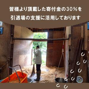ふるさと納税 【 支援 】 支援引退馬 100...の詳細画像4