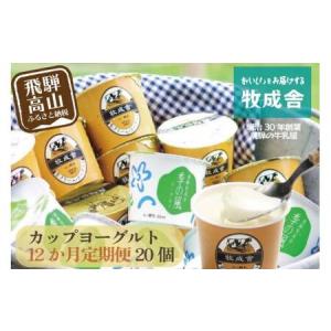 ふるさと納税 【定期便１２か月】飛騨のカップヨーグルト20個セット 1年定期 2種類 セット 各10個 ヨーグルト 乳製品 乳酸菌 腸活 定期便 毎月届.. 岐阜県高山市