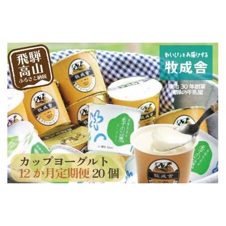 ふるさと納税 【定期便１２か月】飛騨のカップヨーグルト20個セット 1年定期 2種類 セット 各10...