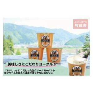ふるさと納税 【定期便12か月】飛騨のカップヨ...の詳細画像2