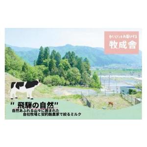 ふるさと納税 【定期便12か月】飛騨のカップヨ...の詳細画像3