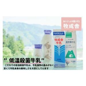ふるさと納税 【定期便12か月】飛騨のカップヨ...の詳細画像4