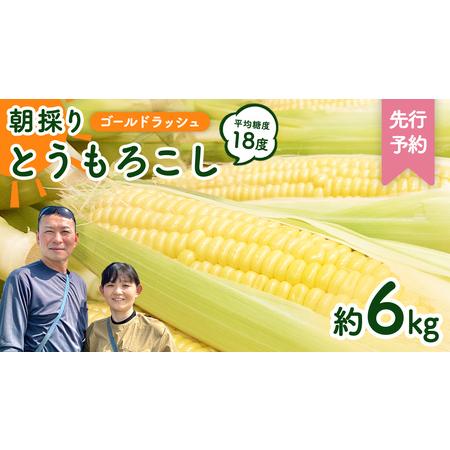 ふるさと納税 【先行予約】 朝採り とうもろこし （ ゴールドラッシュ ） 約 6kg 《 6月下旬...