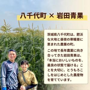 ふるさと納税 とうもろこし ゴールドラッシュ ...の詳細画像2