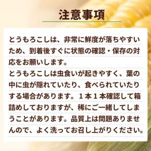 ふるさと納税 とうもろこし ゴールドラッシュ ...の詳細画像4