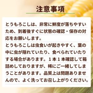 ふるさと納税 とうもろこし ゴールドラッシュ ...の詳細画像4