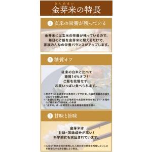 ふるさと納税 BG 無洗米 金芽米 ベストセレ...の詳細画像2