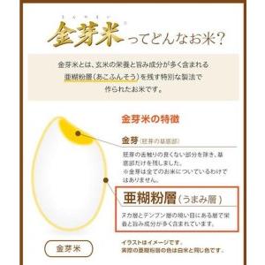 ふるさと納税 BG 無洗米 金芽米 ベストセレ...の詳細画像3