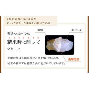 ふるさと納税 BG 無洗米 金芽米 ベストセレ...の詳細画像4