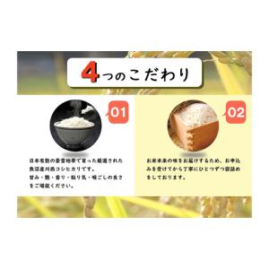 ふるさと納税 【定期便/全12回】無洗米 魚沼...の詳細画像1