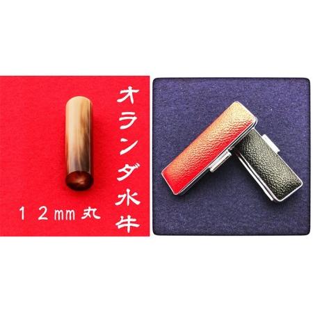 ふるさと納税 オランダ水牛12mm（5書体）牛革ケース（黒） れいしょたい 静岡県浜松市