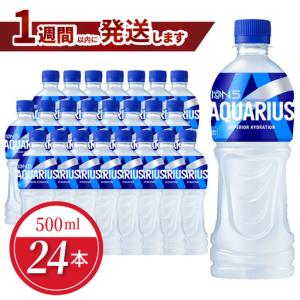 ふるさと納税 アクエリアス 500mlPET（24本入）コカ・コーラ スポーツ飲料 熱中症対策 コカ・コーラ BB-0001 滋賀県守山市