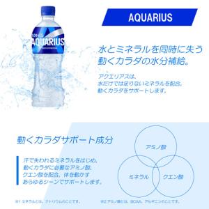 ふるさと納税 アクエリアス 500mlPET(...の詳細画像2