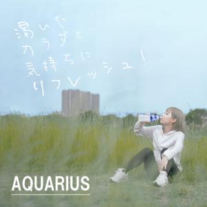 ふるさと納税 アクエリアス 500mlPET(...の詳細画像3