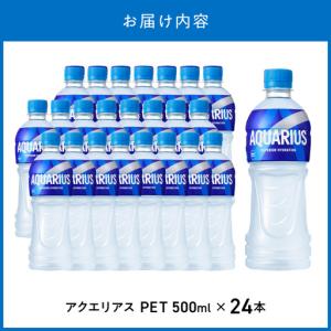ふるさと納税 アクエリアス 500mlPET(...の詳細画像4