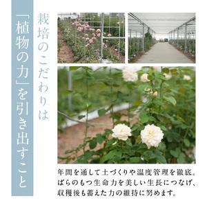 ふるさと納税 わばらの花束 50本定期便 5回...の詳細画像2