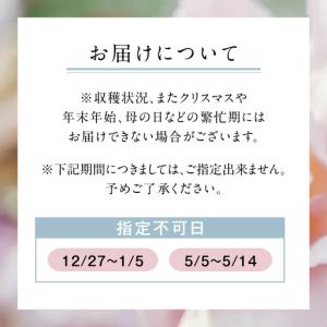 ふるさと納税 わばらの花束 50本定期便 5回...の詳細画像3