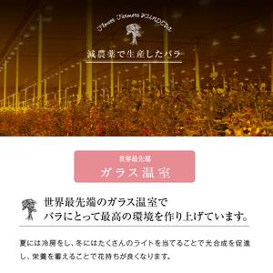 ふるさと納税 【定期便:12カ月】國枝バラ園か...の詳細画像3
