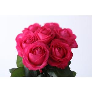 ふるさと納税 【定期便：12カ月】國枝バラ園から直送！Flower Bouquet（20本の花束）濃いピンク系　　薔薇 ばら バラ 花束 お祝い プレゼント 誕.. 滋賀県守山市