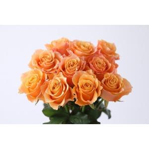 ふるさと納税 【定期便：12カ月】國枝バラ園から直送！Flower Bouquet（20本の花束）オレンジ系　　薔薇 ばら バラ 花束 お祝い プレゼント 誕生.. 滋賀県守山市