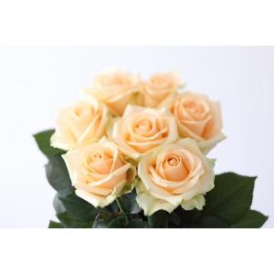 ふるさと納税 【定期便：12カ月】國枝バラ園から直送！Flower Bouquet（20本の花束）アプリコット系　　薔薇 ばら バラ 花束 お祝い プレゼント .. 滋賀県守山市