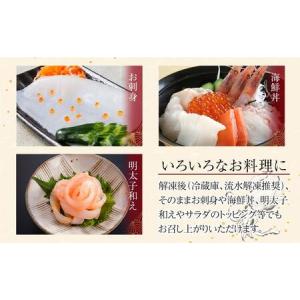 ふるさと納税 いか糸つくり 2kg 冷凍 小分...の詳細画像2