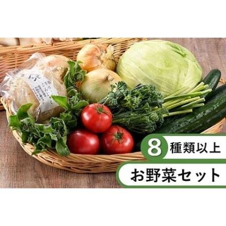 ふるさと納税 本日のお野菜セット(Sサイズ)（53-36） 宮崎県綾町