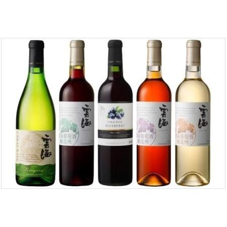 ふるさと納税 雲海ワインセット5種 国産100％ 赤 白 飲み比べ （02-107） 宮崎県綾町