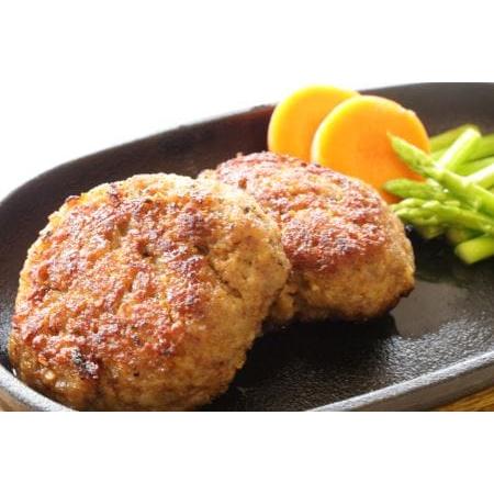 ふるさと納税 A4A5等級 黒毛和牛 綾牛・ぶどう豚ハンバーグ 120ｇ×10個 合い挽き ステーキ...