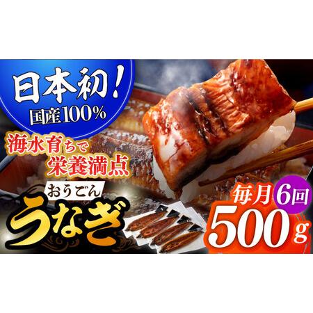 ふるさと納税 【6回定期便】おうごん うなぎ 500g【（有）松永水産】[KAB142]/ 長崎 平...