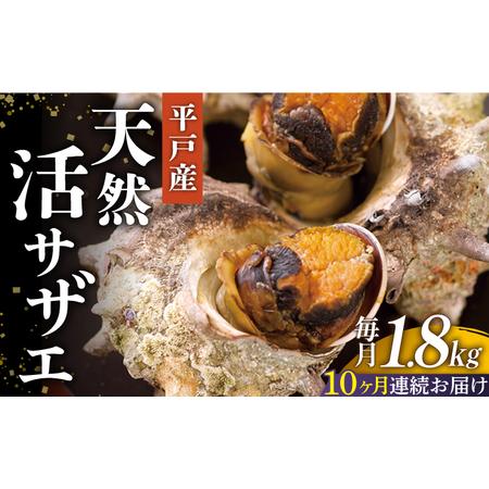 ふるさと納税 【10回定期便】天然活サザエ 18kg（約1.8kg×10回）【株式会社ひらど新鮮市場...