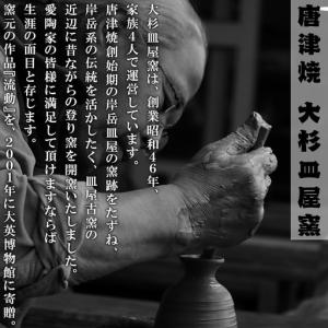 ふるさと納税 唐津焼 絵粉引唐津酒器セット(登...の詳細画像3