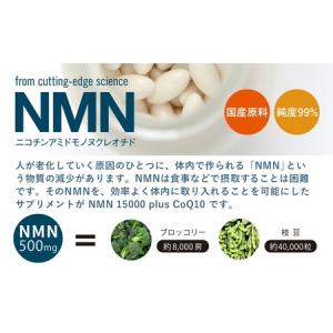 ふるさと納税 0600-57-01 NMN15...の詳細画像2