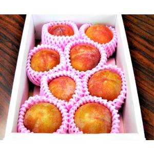 ふるさと納税 すもも（秋姫）２.４ｋｇ　0017-2607 山形県上山市