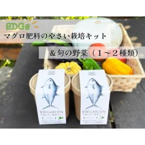 ふるさと納税 B15-010 食彩GARDEN三浦やさい栽培キット＆旬野菜 神奈川県三浦市