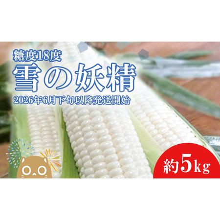 ふるさと納税 K1966【先行予約】【2026年6月下旬以降順次発送】糖度18度前後 白いとうもろこ...