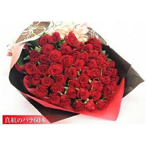 ふるさと納税 真紅のバラ60本【 バラ 薔薇 フラワー 】 大阪府門真市